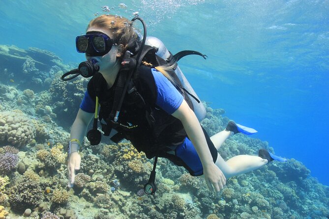 Beginner Scuba Dive 2 diving Stops & Lunch Boat Trip - El Quseir - Key points at a glance