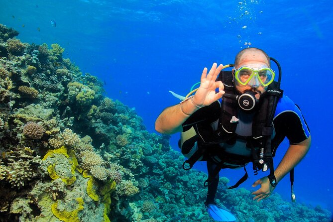 Beginner Scuba Dive 2 diving Stops & Lunch Boat Trip - El Quseir - The second stop gives you time to settle in