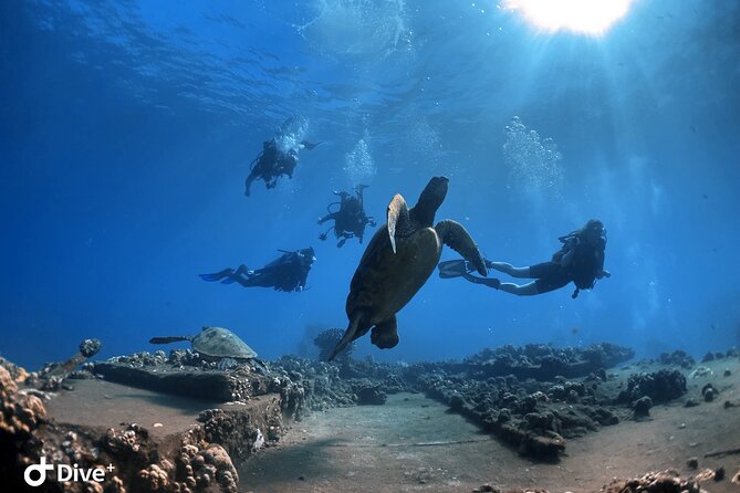Beginner Scuba Dive in Lahaina: Swimming Required - Learning to breathe underwater