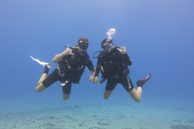 Beginner Scuba Dive in Lahaina: Swimming Required - Is $229 a fair price?