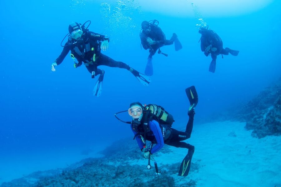 Beginner Scuba Dive with Scubapoint Tenerife in Turtle Area - Meeting at Puerto Colon before the sea session
