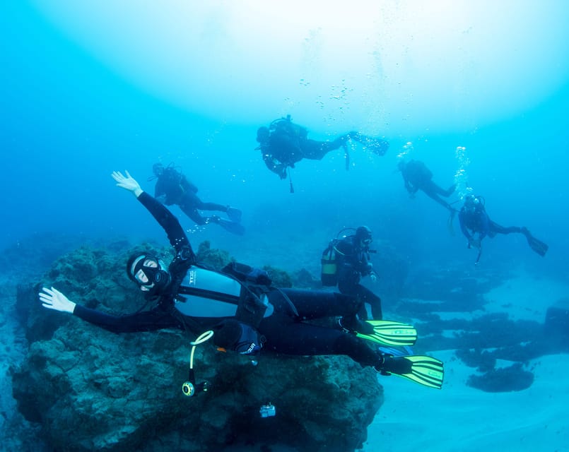 Beginner Scuba Dive with Scubapoint Tenerife in Turtle Area - Taking the boat to Tenerife’s turtle area