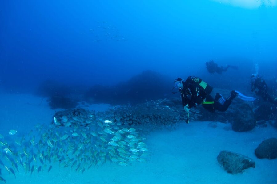 Beginner Scuba Dive with Scubapoint Tenerife in Turtle Area - Who should book this Tenerife experience?