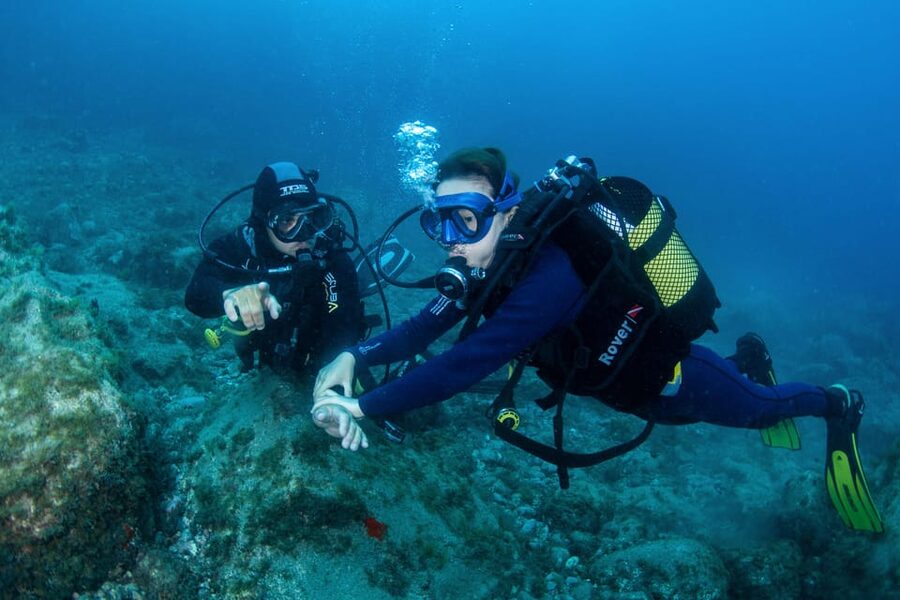 Beginner Scuba Dive with Scubapoint Tenerife in Turtle Area - Learning the basics before entering the water