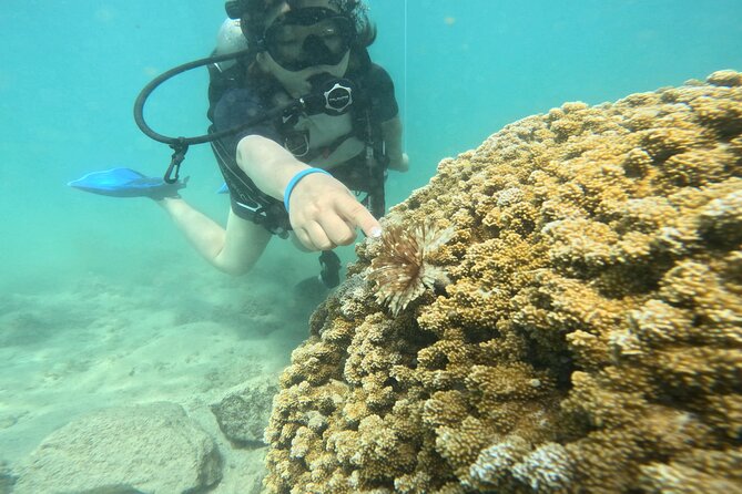 Beginner Scuba Diving Experience with Video Package in Honolulu - Why Magic Island Lagoon works for a first scuba experience