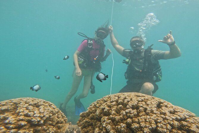 Beginner Scuba Diving Experience with Video Package in Honolulu - Timing, weather, and comfort tips