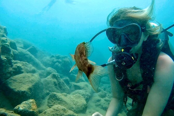 Beginner Scuba Diving Experience With Videos in West Palm Beach - The first 10 to 15 minutes: learning the essentials