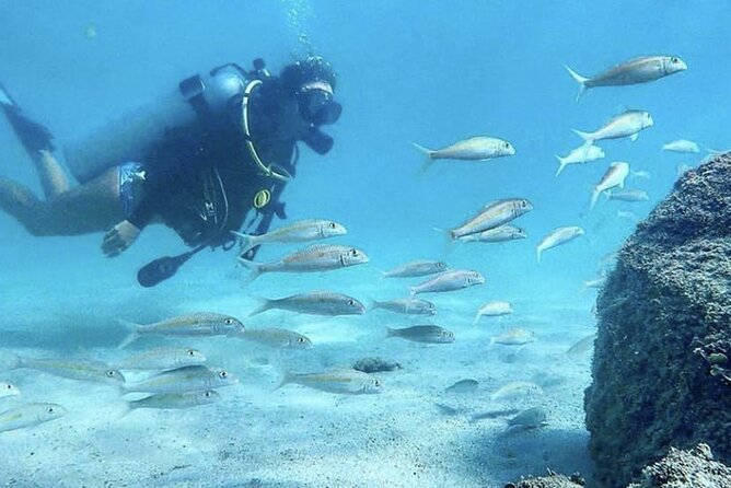 Beginner Scuba Diving Experience With Videos in West Palm Beach - Equipment, glasses, and health requirements