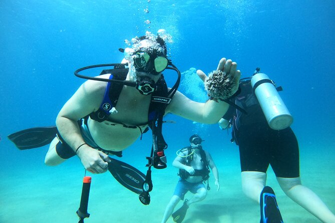 Beginner Scuba Diving Guided Tour - No Experience Required - A gentle first step into scuba in Rincón