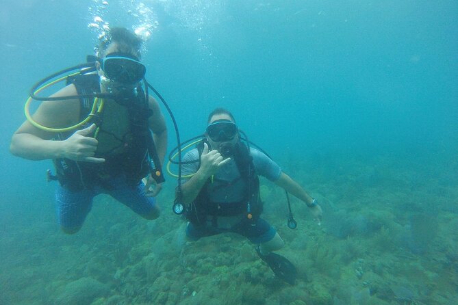 Beginner Scuba Diving Guided Tour - No Experience Required - Equipment, instruction, and underwater photos