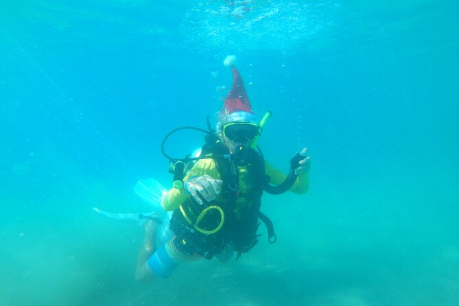 Beginner Scuba Diving Guided Tour - No Experience Required - Rincón water conditions can change your plans