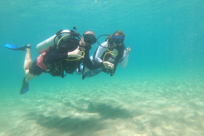 Beginner Scuba Diving Guided Tour - No Experience Required - Finding 564 Black Eagle Road