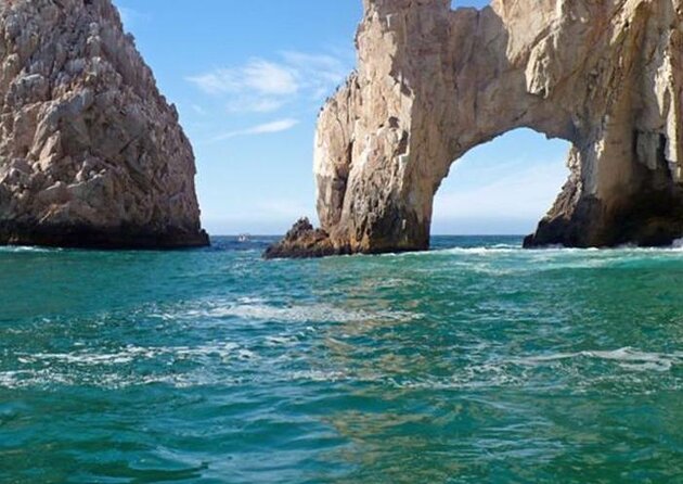 Beginner Scuba Diving in Cabo San Lucas - Five things to know before booking
