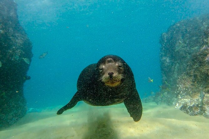 Beginner Scuba Diving in Cabo San Lucas - A five-minute boat ride to the site