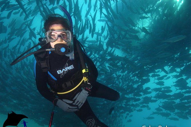 Beginner Scuba Diving in Cabo San Lucas - Why the guide-to-participant ratio matters
