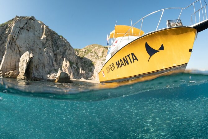 Beginner Scuba Diving in Cabo San Lucas - What the $142 price really covers