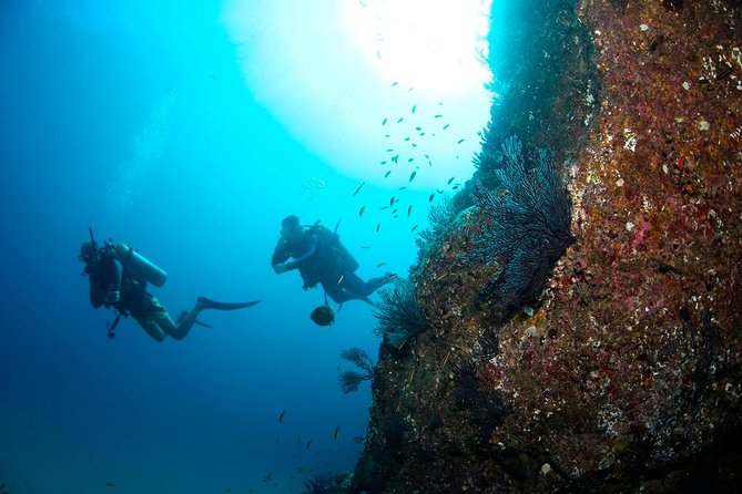 Beginner Scuba Diving in Cabo San Lucas - The first hour: equipment, signals, and safety
