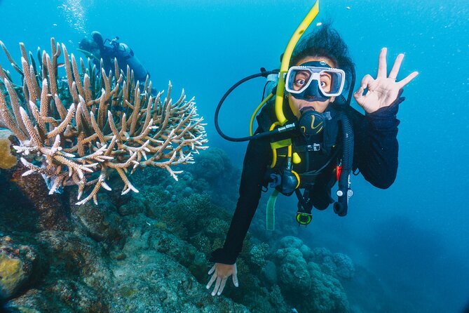 Beginners Scuba Diving, 2 Stops, Full Day Trip & Lunch - Hurghada - Key points at a glance