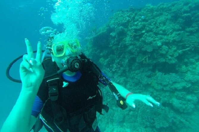 Beginners Scuba Diving, 2 Stops, Full Day Trip & Lunch - Hurghada - Snorkeling gives you more time in the sea