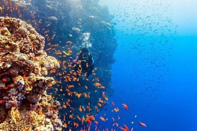 Beginners Scuba Diving, 2 Stops, Full Day Trip & Lunch - Hurghada - Lunch and drinks break up the long boat day