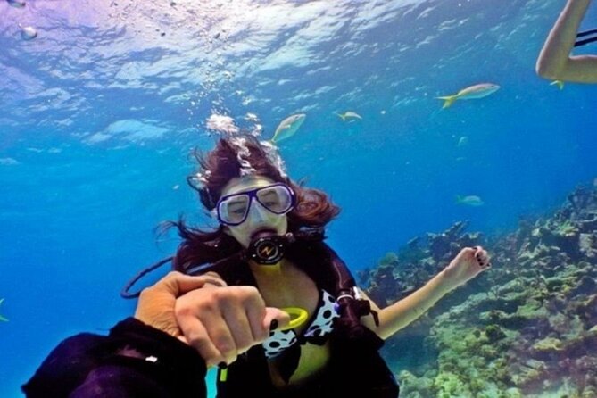 Beginners Scuba Diving, 2 Stops, Full Day Trip & Lunch - Hurghada - What the $21.09 price really gives you