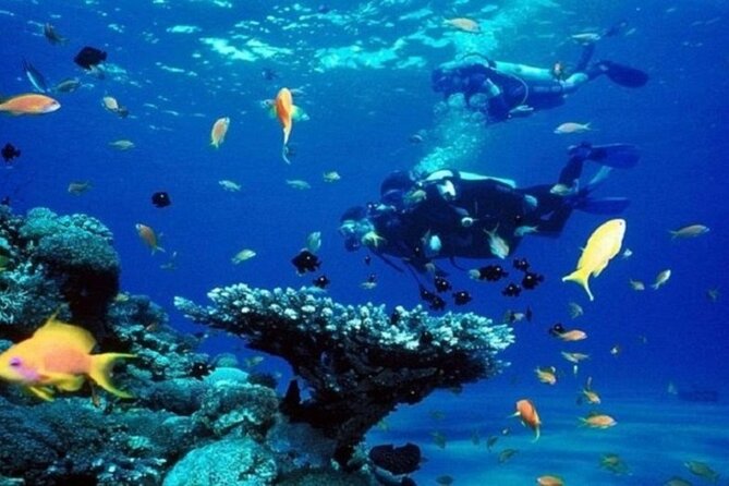 Beginners Scuba Diving, 2 Stops, Full Day Trip & Lunch - Hurghada - The crew is the strongest reason to book