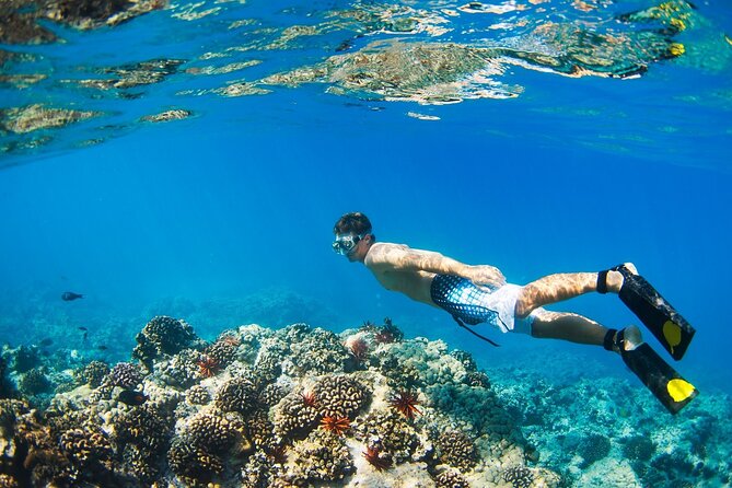 Beginners Scuba Diving Boat Trip With Equipment & lunch -Hurghada - What the low price really means