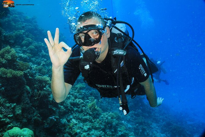 Beginners Scuba Diving Boat Trip With Equipment & lunch -Hurghada - Getting comfortable with scuba equipment