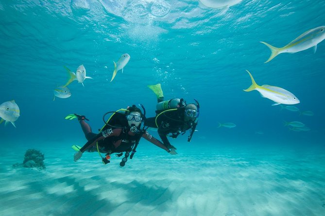 Beginners Scuba Diving Experience in Gran Canaria - What this Gran Canaria scuba session is really like