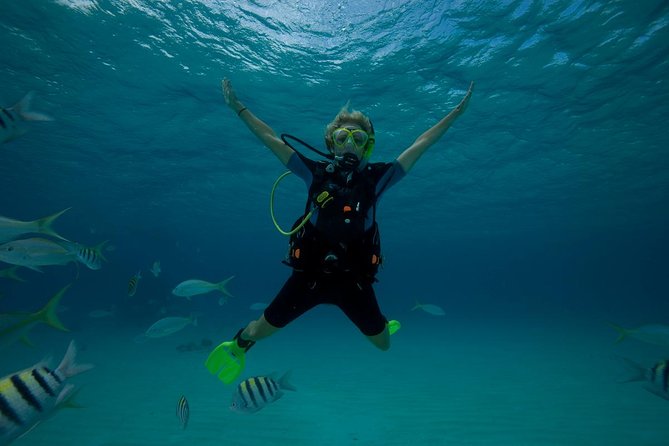Beginners Scuba Diving Experience in Gran Canaria - The reef session and the underwater view