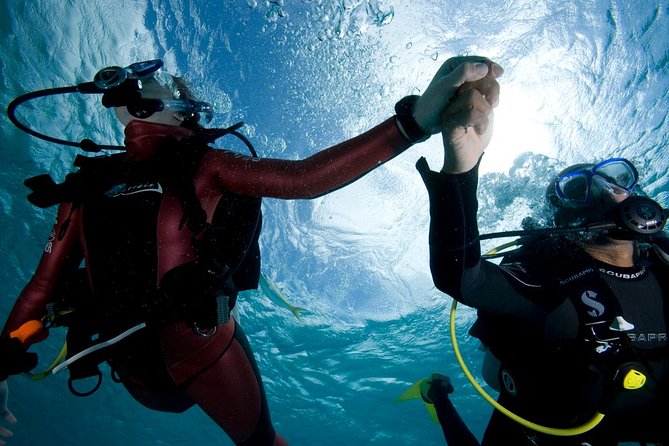 Beginners Scuba Diving Experience in Gran Canaria - Meeting the instructor and preparing the equipment