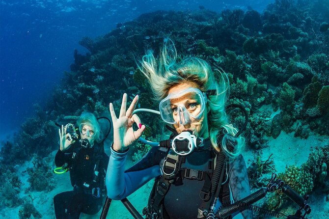 Belek Scuba Diving Experience (2 Dives) With Lunch - Equipment and instruction are included