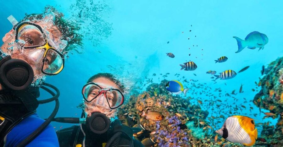 Belek: Scuba Diving in the Mediterranean Sea - A low-cost introduction to the Mediterranean