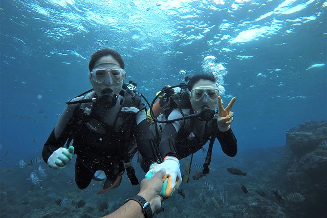 Blue Cave Area Experience Diving!Free feeding & photo images Chinese guide available!1 group with a dedicated instructor - Key things to know before booking