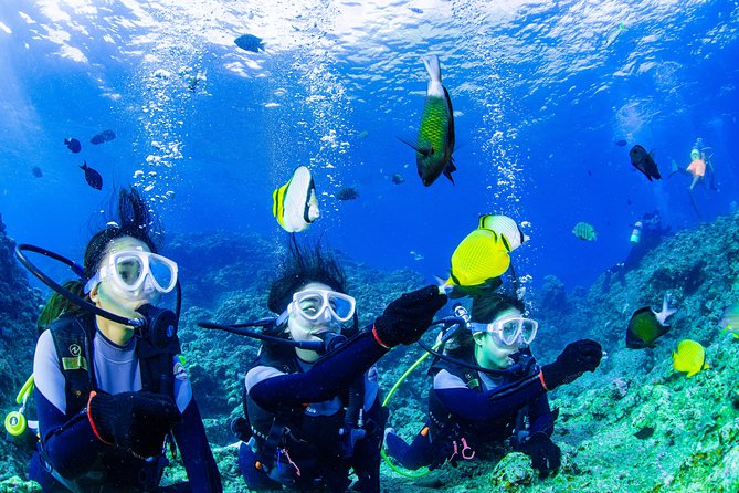 Blue Cave Introductory Dive–Private Guide, Boat Tour&Free Photos - Why this Blue Cave outing works for beginners