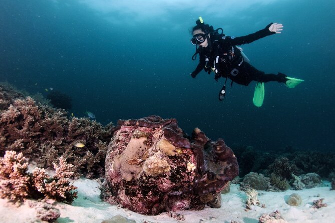 Blue Dive Private Guided Scuba Dive Cairns - Choosing between Norman, Saxon, and Hastings Reefs