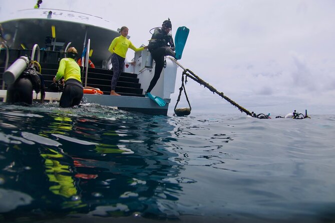 Blue Dive Private Guided Scuba Dive Cairns - A comfortable catamaran ride to the reef