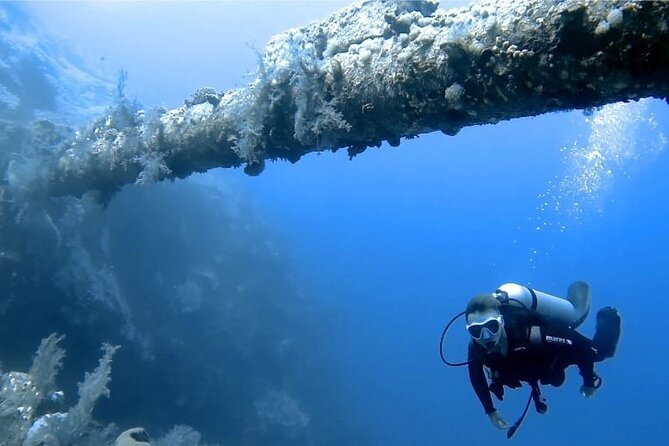 Boat Dive 2 Guided Dives with Lunch Included wreck dive&reef dive - The First Stop: Aqaba’s Wreck Site