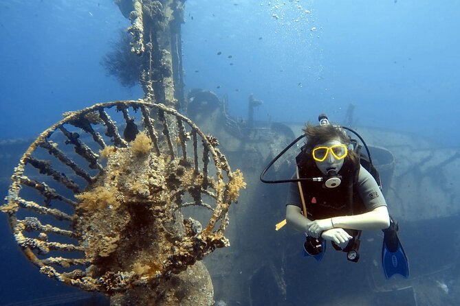 Boat Dive 2 Guided Dives with Lunch Included wreck dive&reef dive - Is $170 a Fair Price?