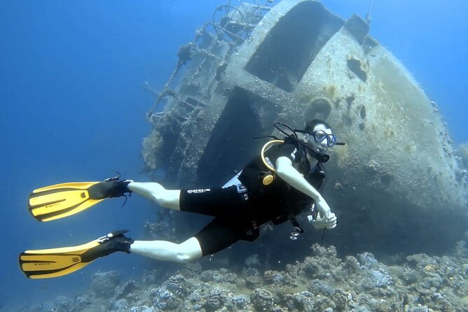 Boat Dive 2 Guided Dives with Lunch Included wreck dive&reef dive - Weather, Cancellation, and Group Conditions