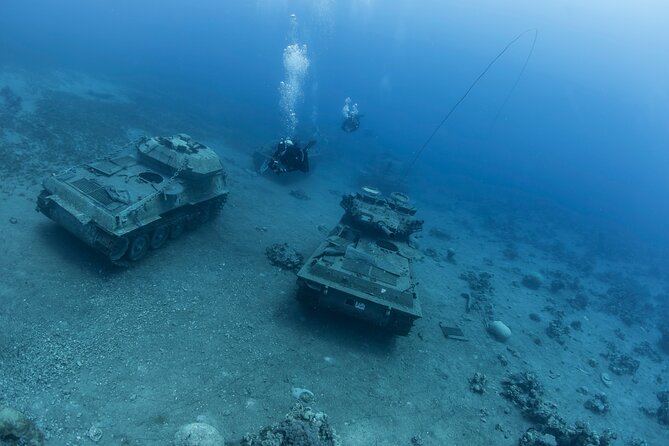 Boat Dive and Snorkeling Experience in Aqaba - Is $123.19 good value?
