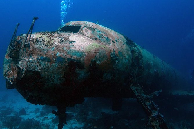 Boat Dive Shipwreck/ Airplanes/ Reef /2 tanks - Key points to know before booking