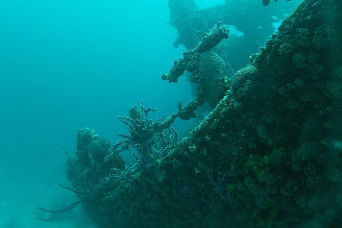 Boat Dive Shipwreck/ Airplanes/ Reef /2 tanks - Why the three-person limit is a real advantage