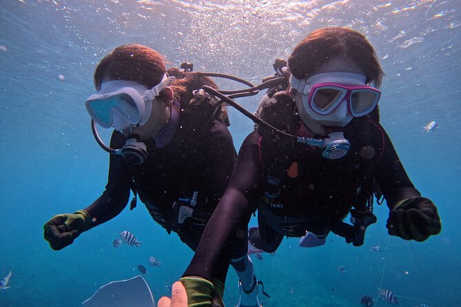 Boat entry diving at the Blue Cave in Onna Village, Okinawa! - Why the boat route matters at Okinawa’s Blue Cave