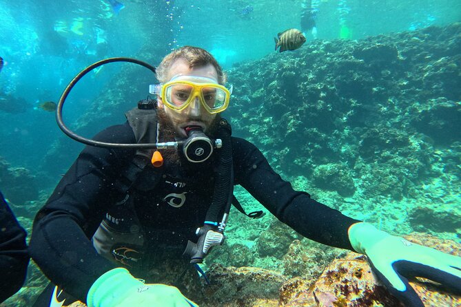 Boat entry diving at the Blue Cave in Onna Village, Okinawa! - The Blue Cave itself, and what you may see