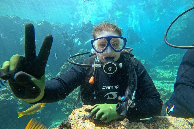 Boat entry diving at the Blue Cave in Onna Village, Okinawa! - Price, boat fee, and what you receive