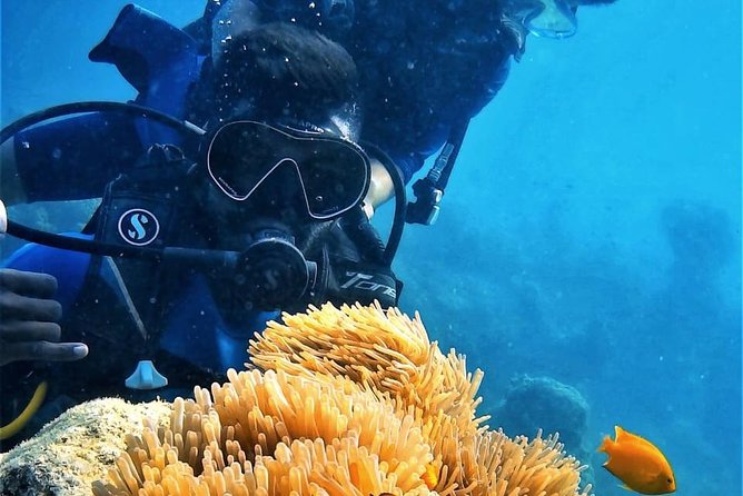 Boat Scuba Diving at Neil Island - Key points to know before booking