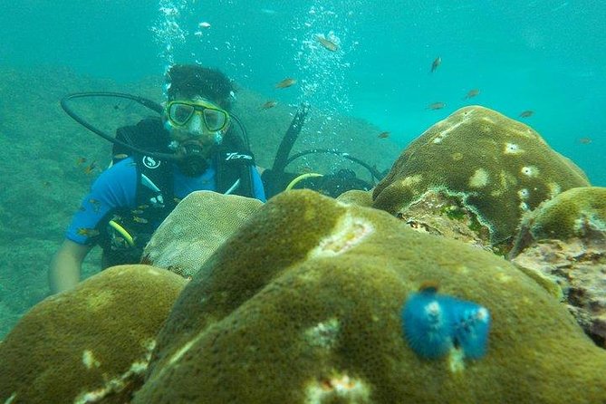 Boat Scuba Diving at Neil Island - Starting at Bharatpur Beach