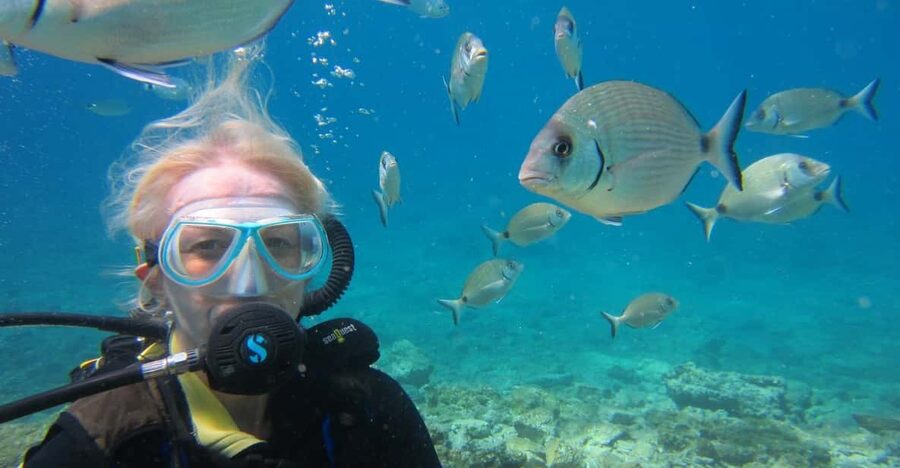 Bodrum: Scuba Diving Trip with Lunch - Lunch on the boat