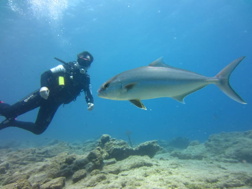 Bodrum: Scuba Diving Trip with Lunch - Who will enjoy this Bodrum boat trip most?
